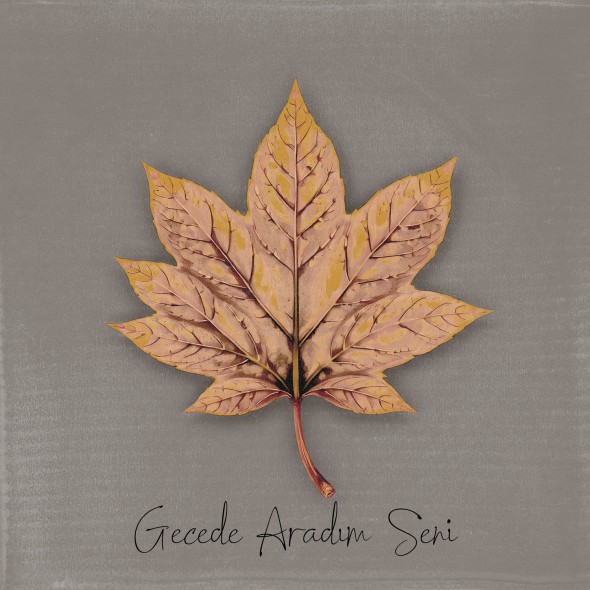 Gecede Aradım Seni